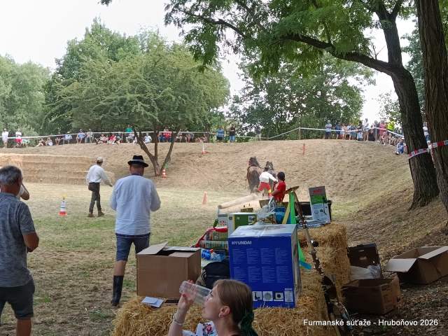 IMG_20260801_130147